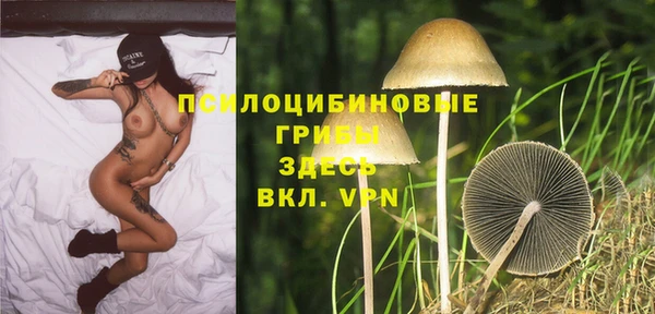 a pvp Богородицк