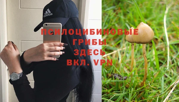 трава Богородск