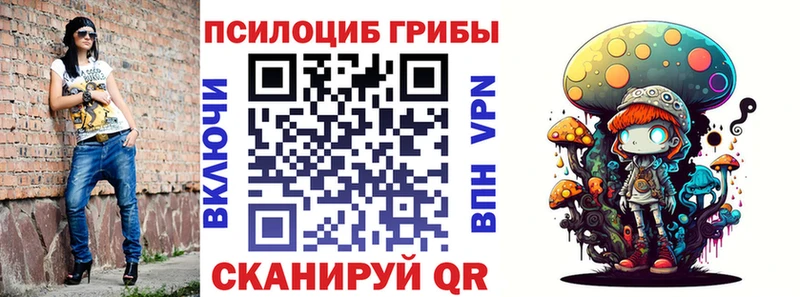 blacksprut вход  Орск  Псилоцибиновые грибы Psilocybe 